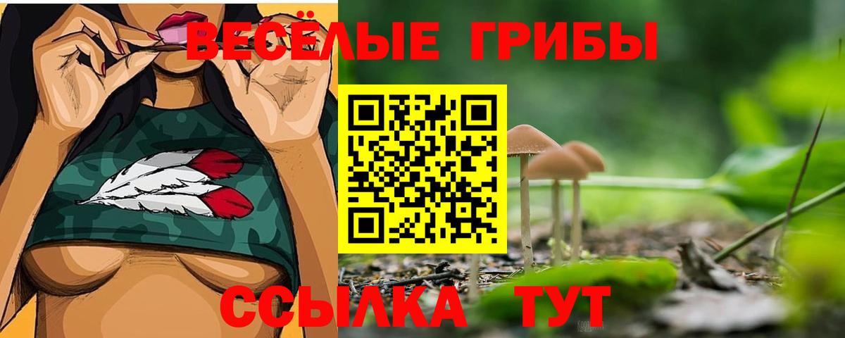 Галлюциногенные грибы Psilocybe Минеральные Воды